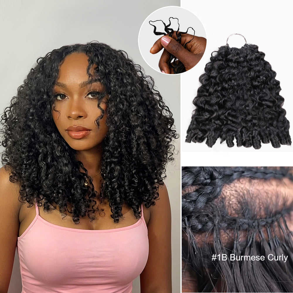 Burmese Curly